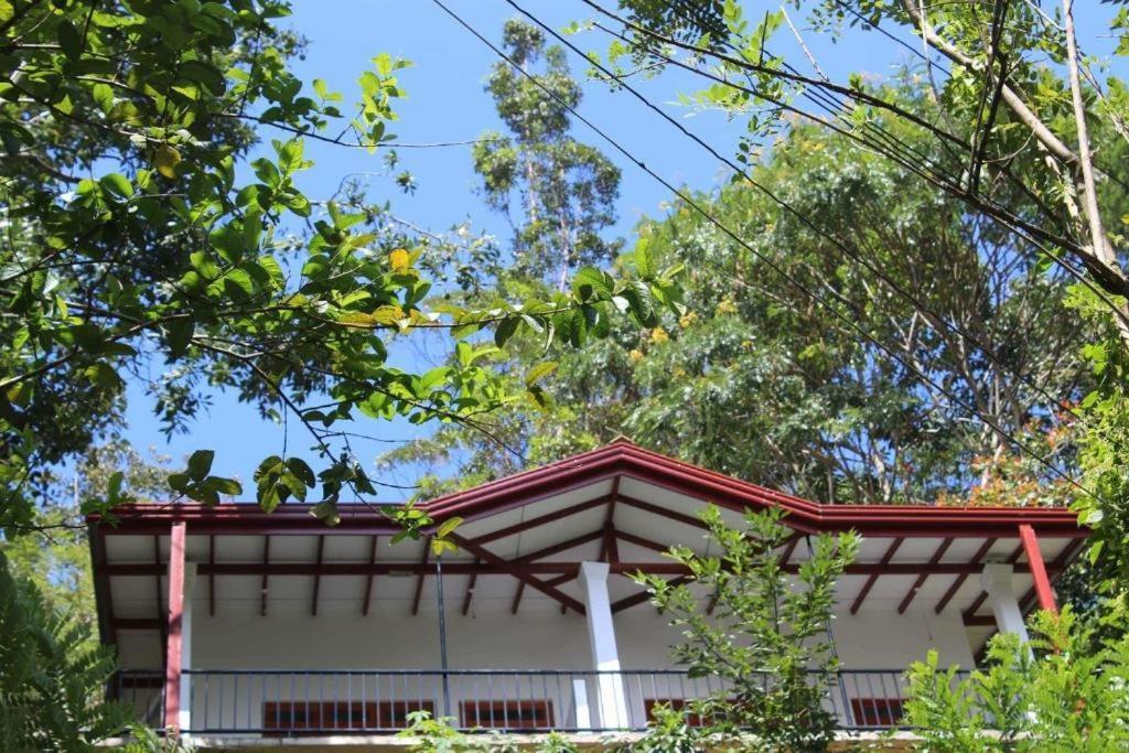 Amado Homestay Ела Екстериор снимка